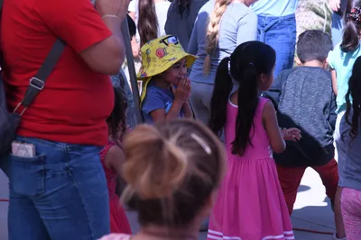 DSC_1970 (Large).JPG